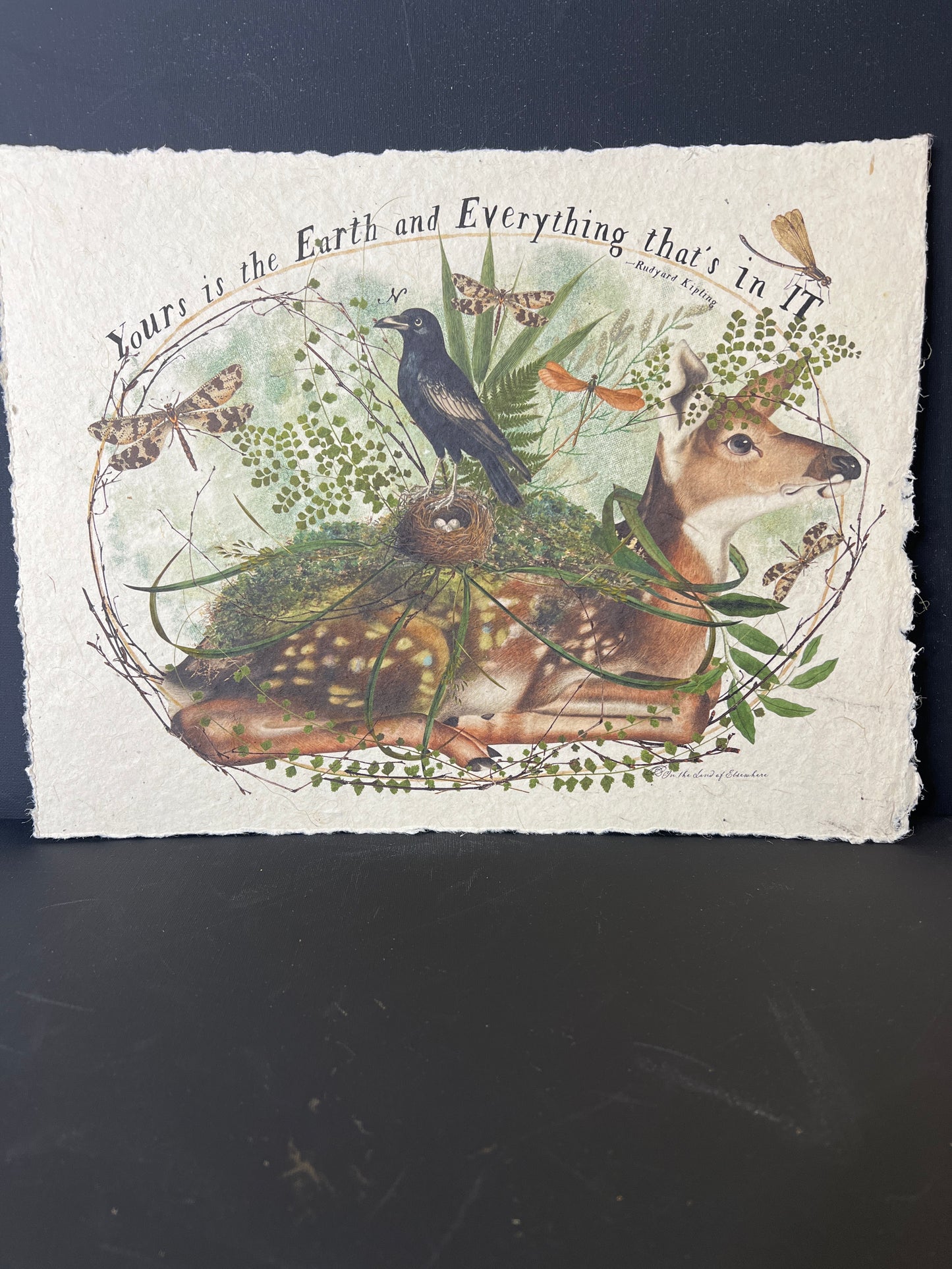 Illustration of a deer surrounded by nature elements on textured paper.