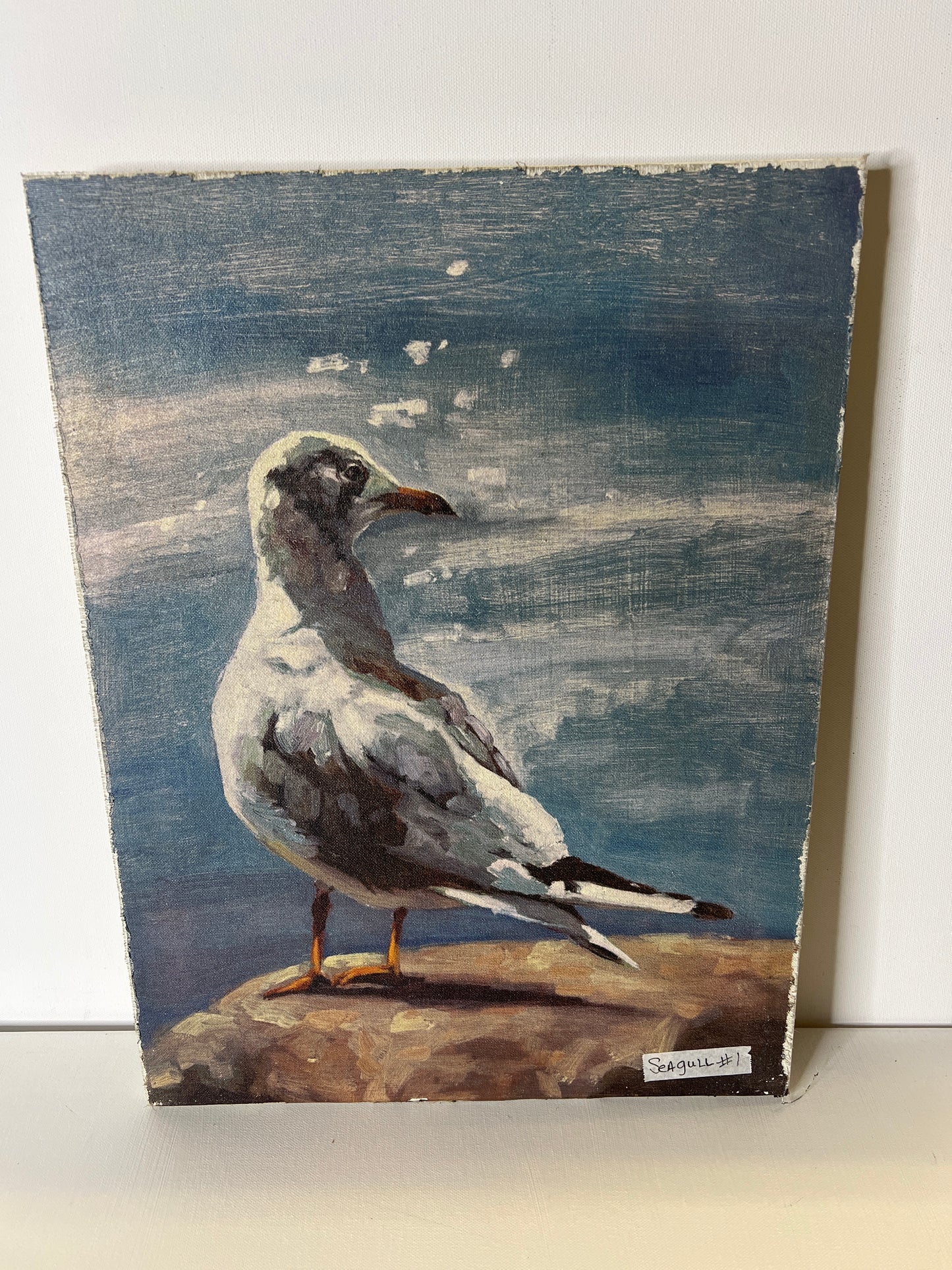 Unframed Seagull #1