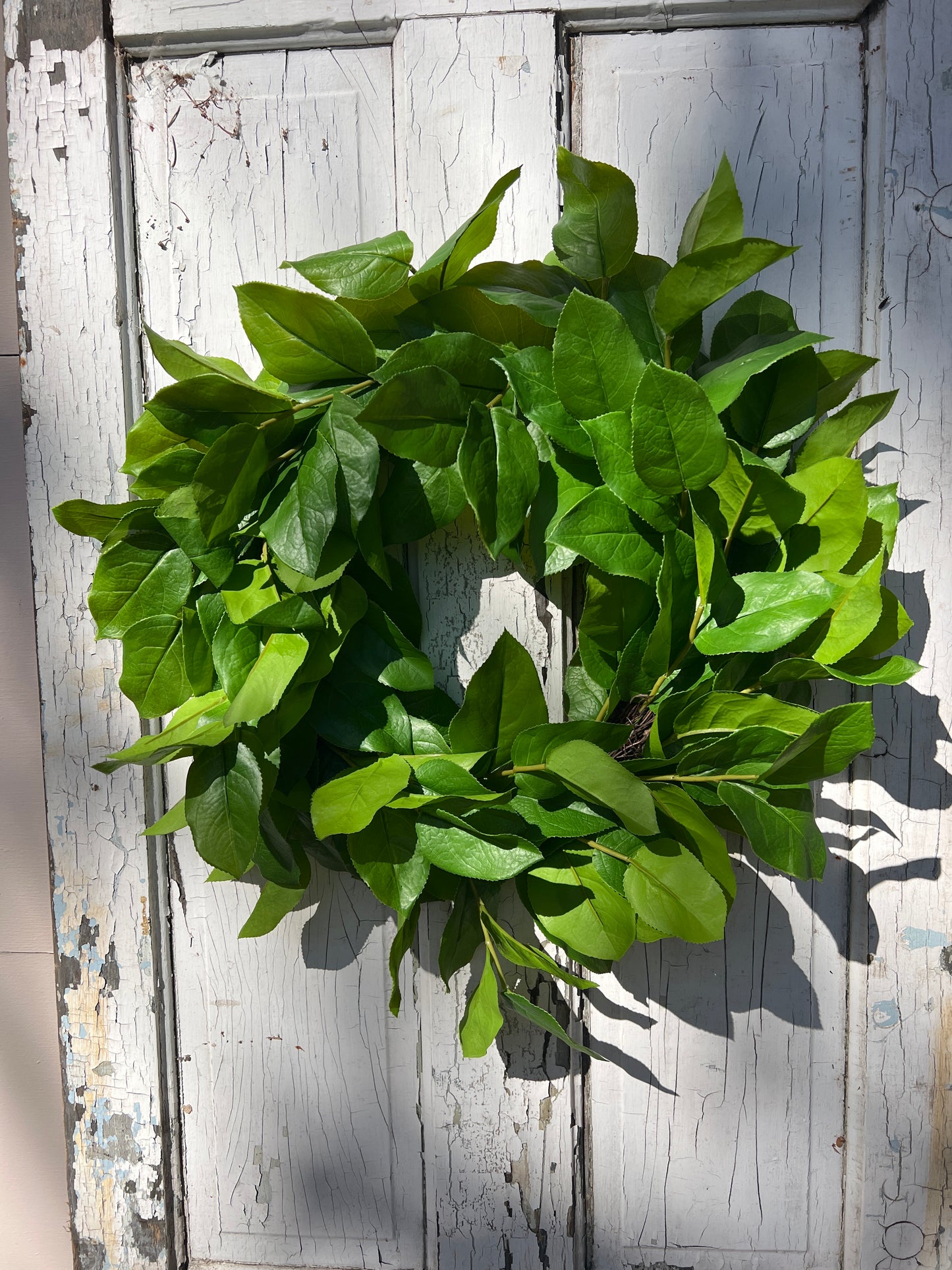 Lemon Leaf Wreath