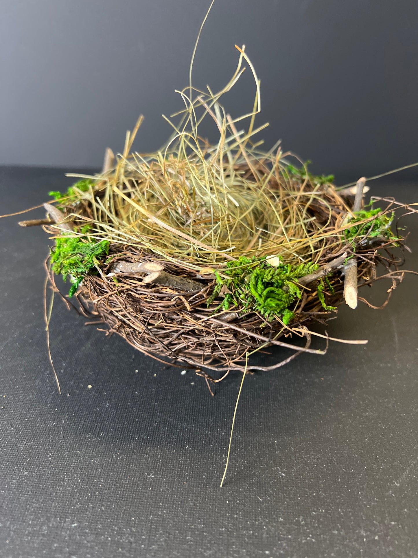 6" Birds Nest with Green Moss