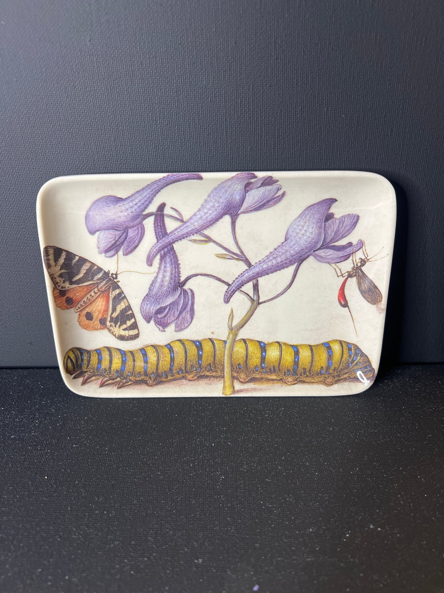 Inch Worm With Butterfly Melamine Trinket Tray