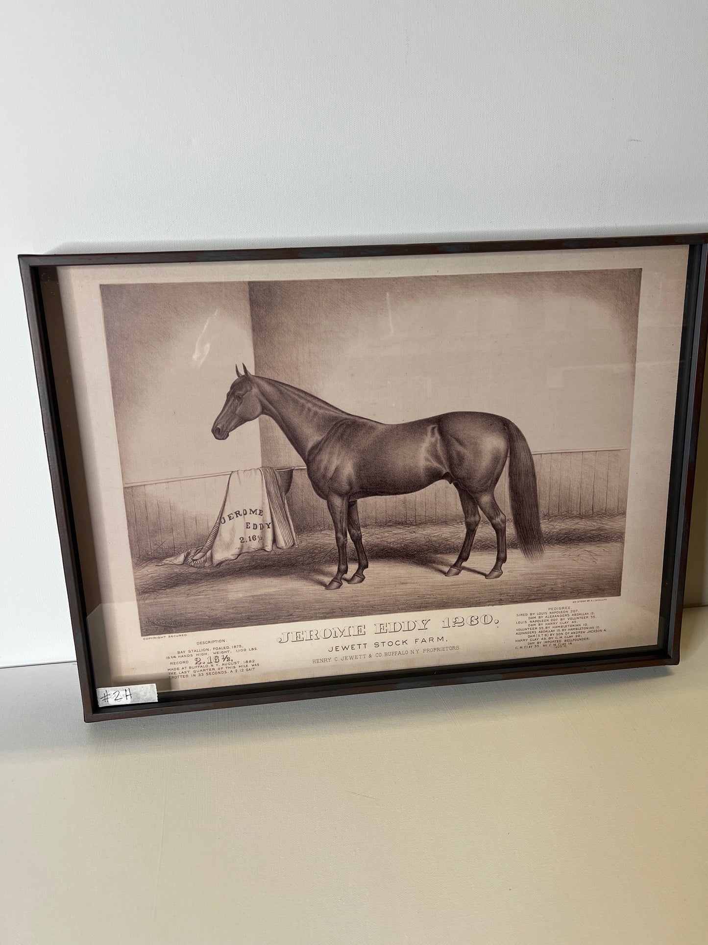 Framed Horse #2