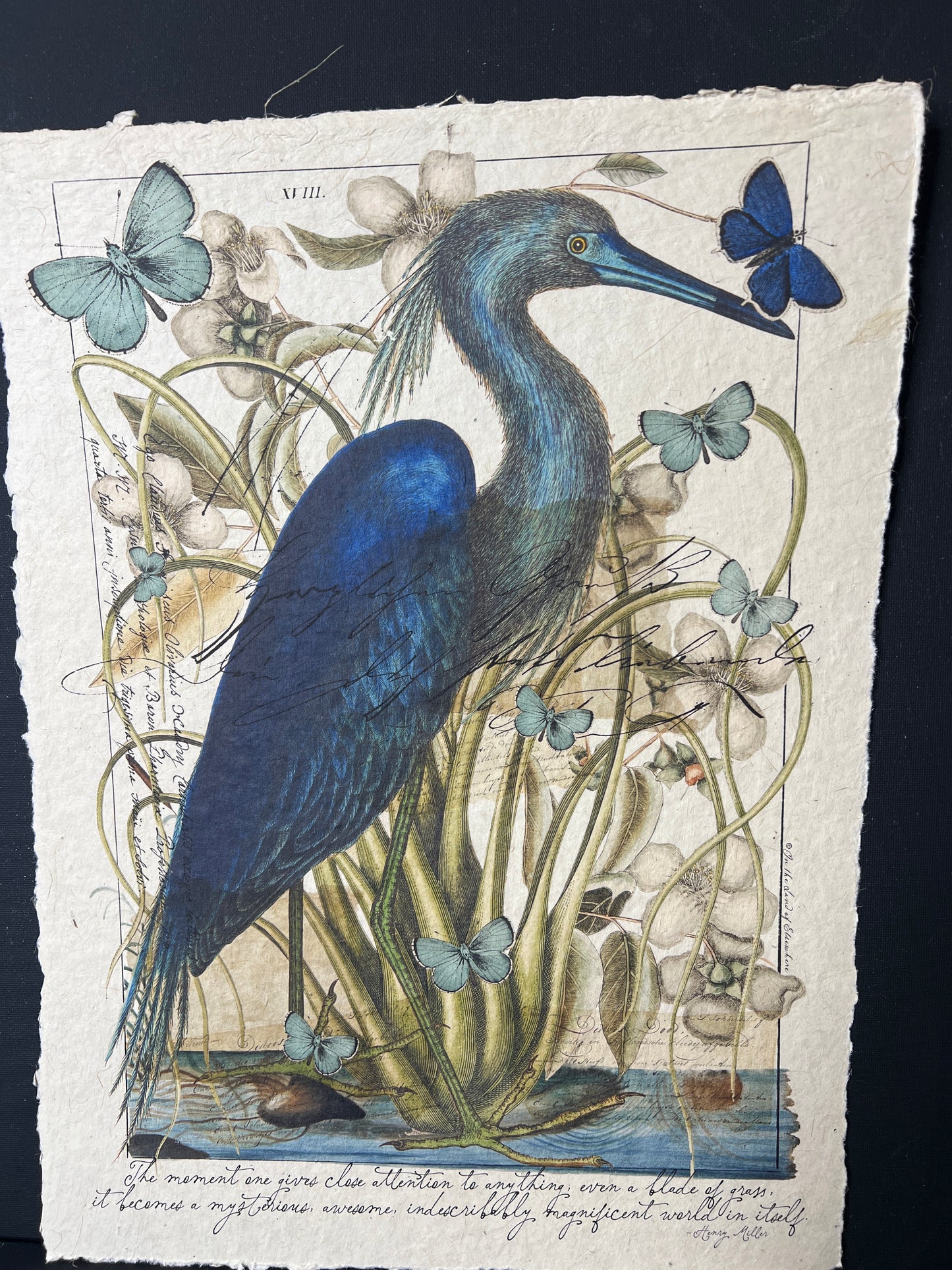 Illustration of a blue heron with butterflies and plants on a textured paper background