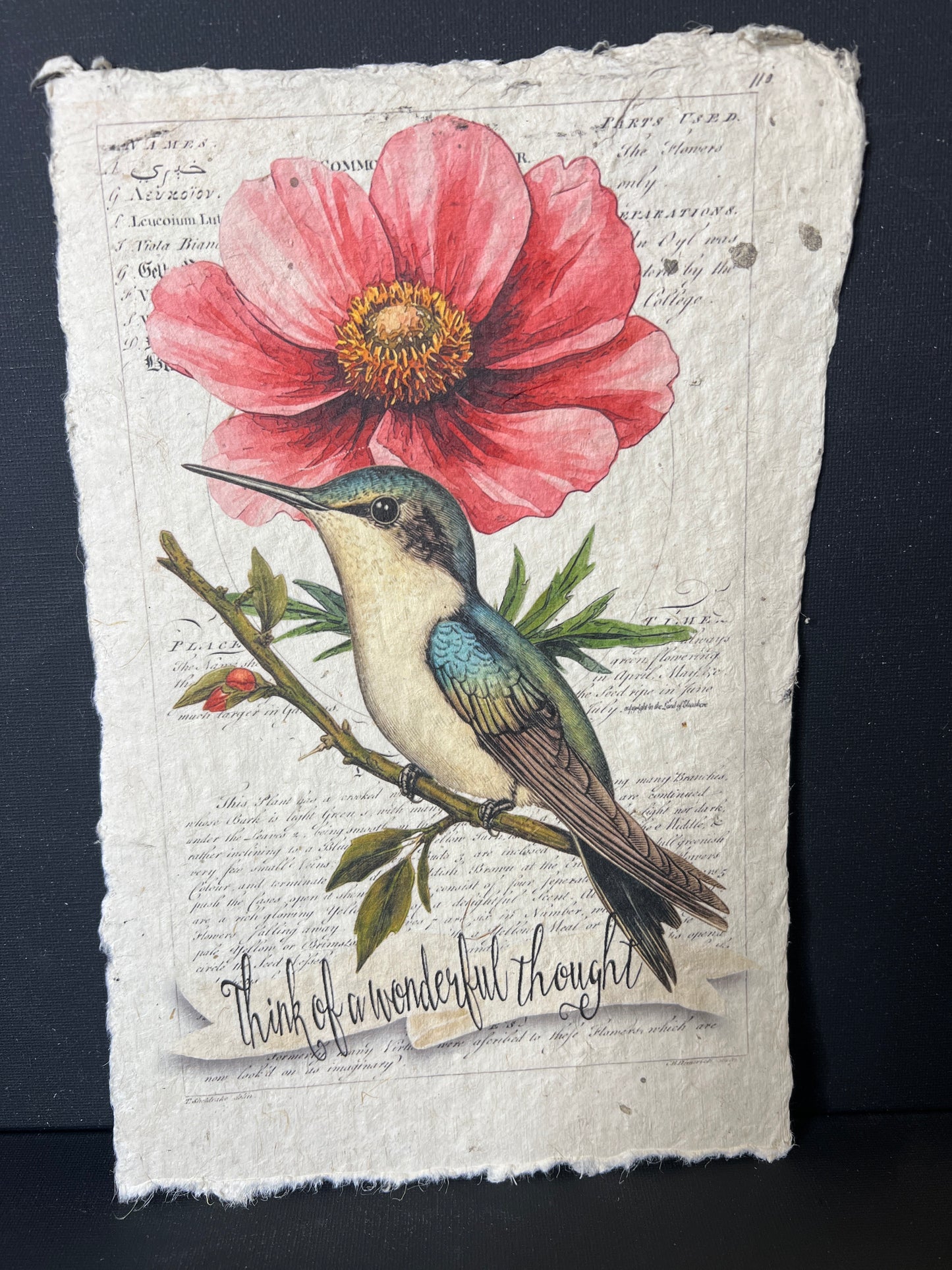 Illustration of a hummingbird and pink flower on textured paper with text.