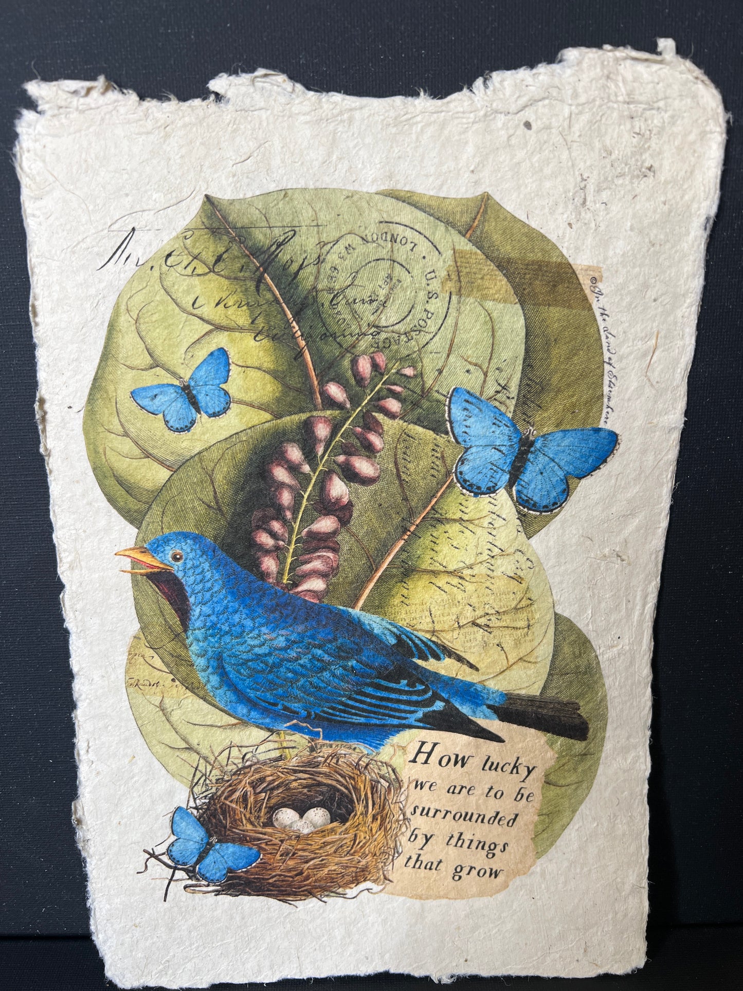 artwork featuring a blue bird and butterflies
