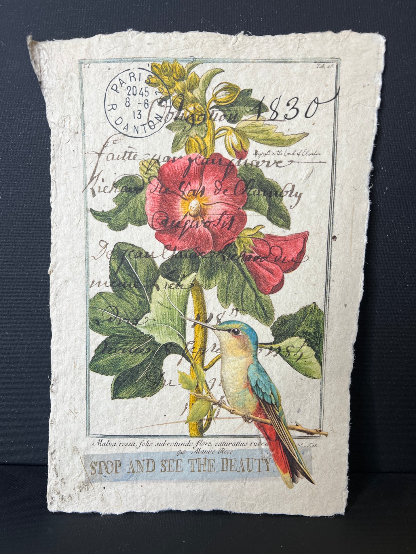 Vintage-style illustration of a bird and flowers on textured paper with a dark background