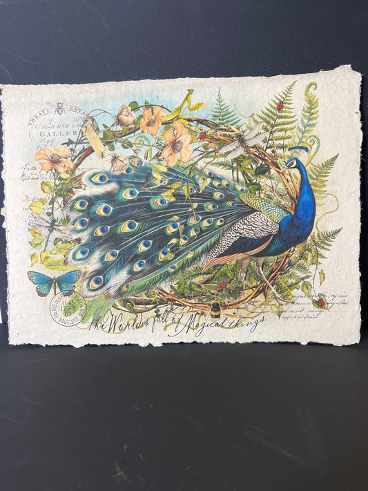 Illustration of a peacock among flowers on textured paper with a dark background
