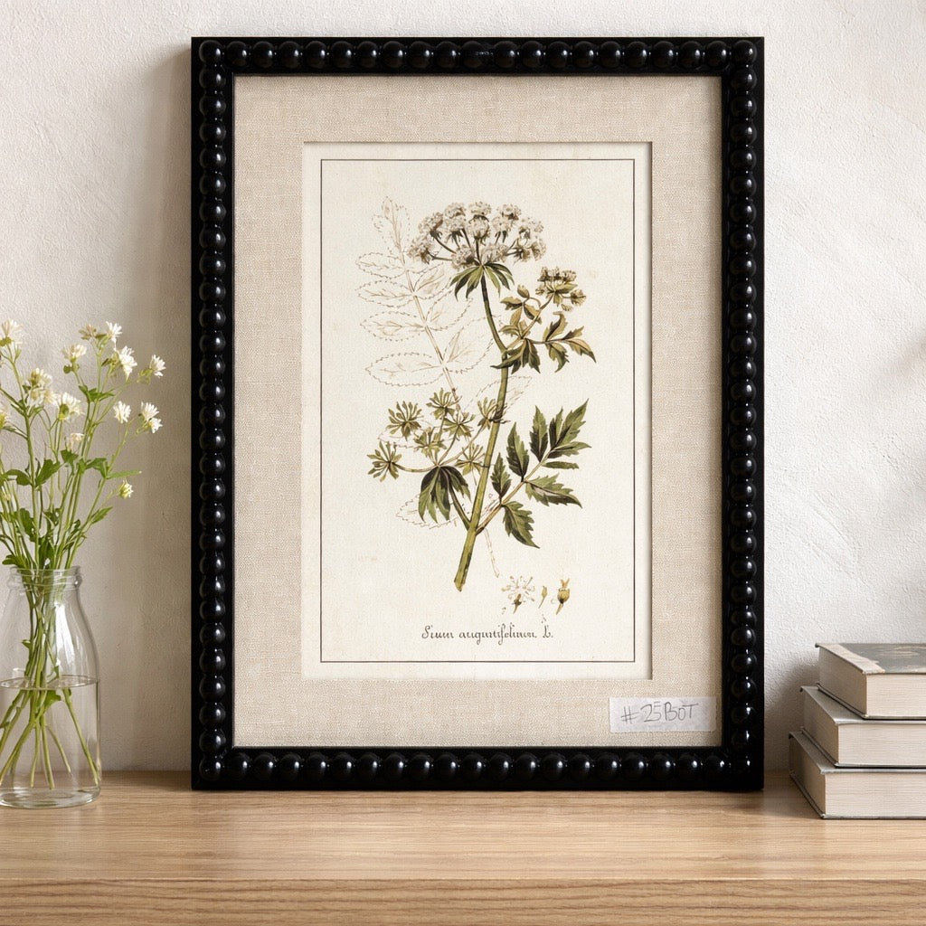 Framed botanical print of a plant on a wooden surface with a vase of flowers and books in the background.