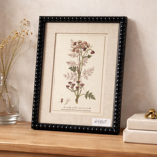 Framed botanical print on a wooden surface with decorative items.