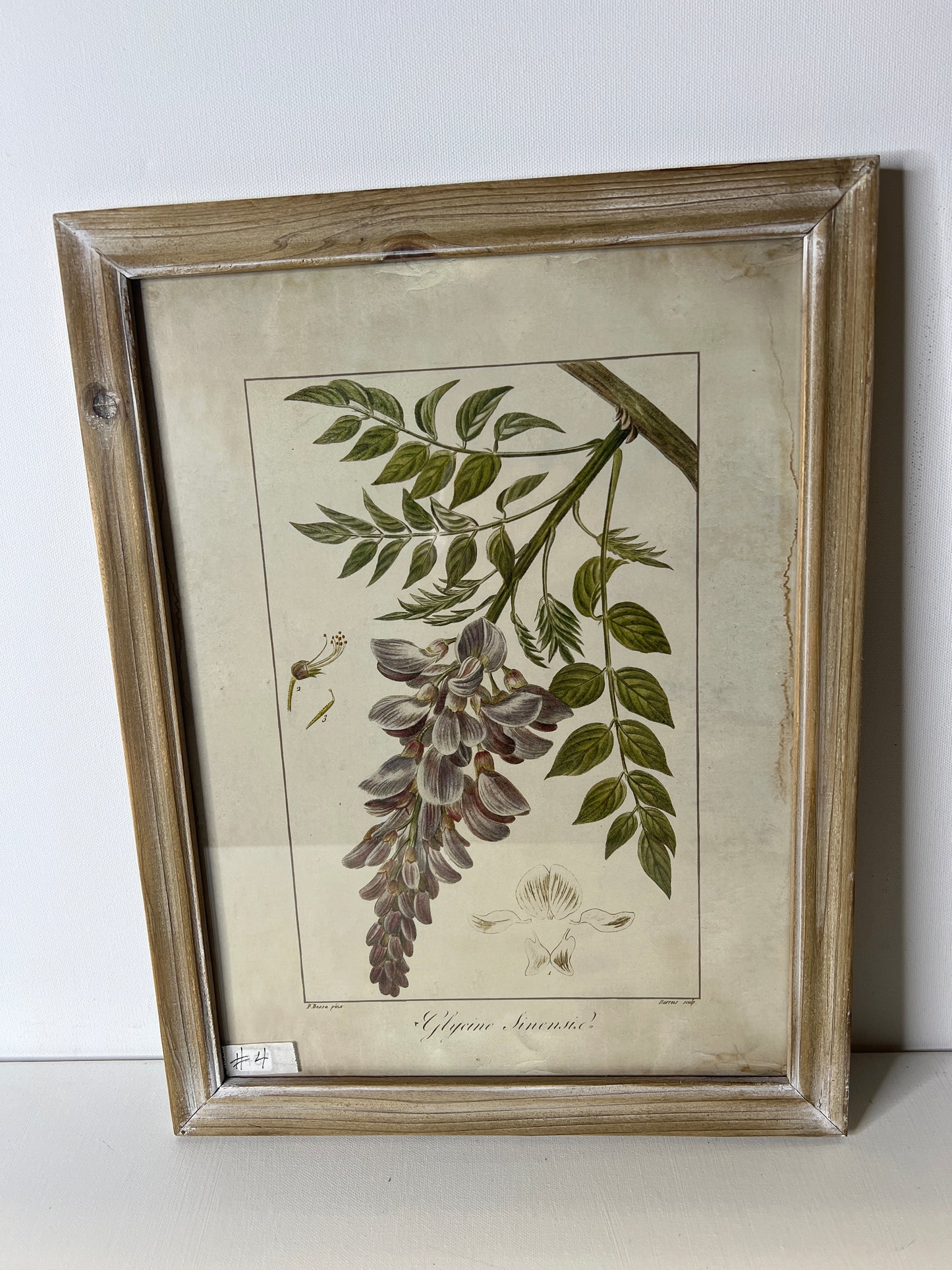 Framed Floral  #4