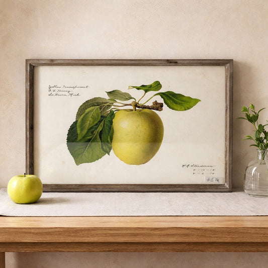 Framed botanical print of a green apple on a table with a vase and additional apple.