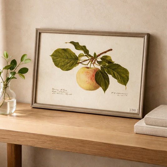 Framed botanical print of an apple on a wooden surface with a vase and books in the background.