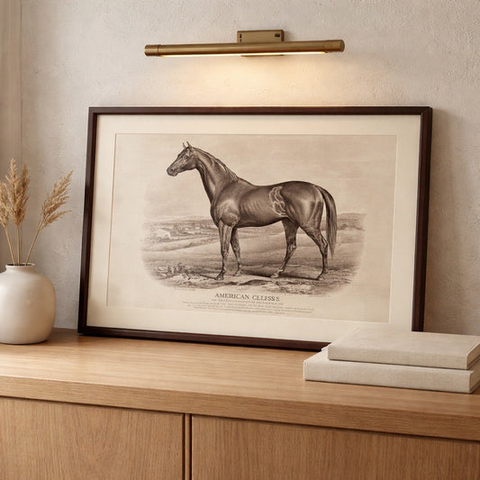 Framed black and white print of a horse on a wooden surface with a lamp above.