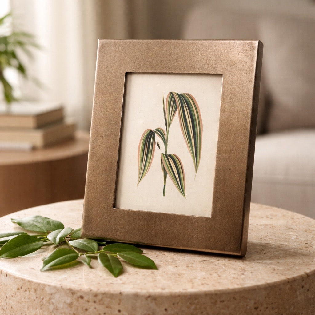 Framed botanical print of leaves on a wooden surface with a blurred indoor setting.