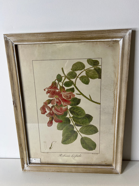 Framed Floral  #7