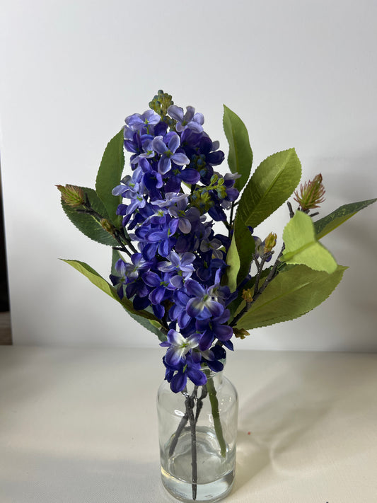 12" Tall Purple Hyacinth
