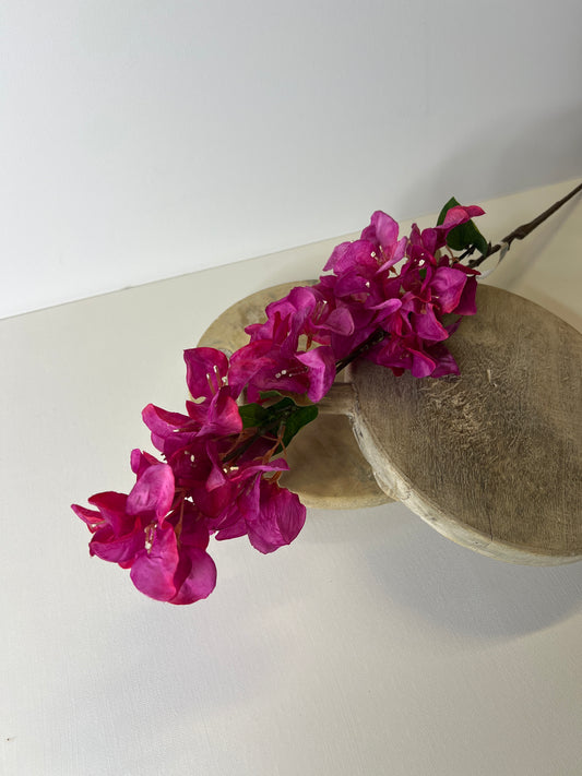 34" Bougainvillea