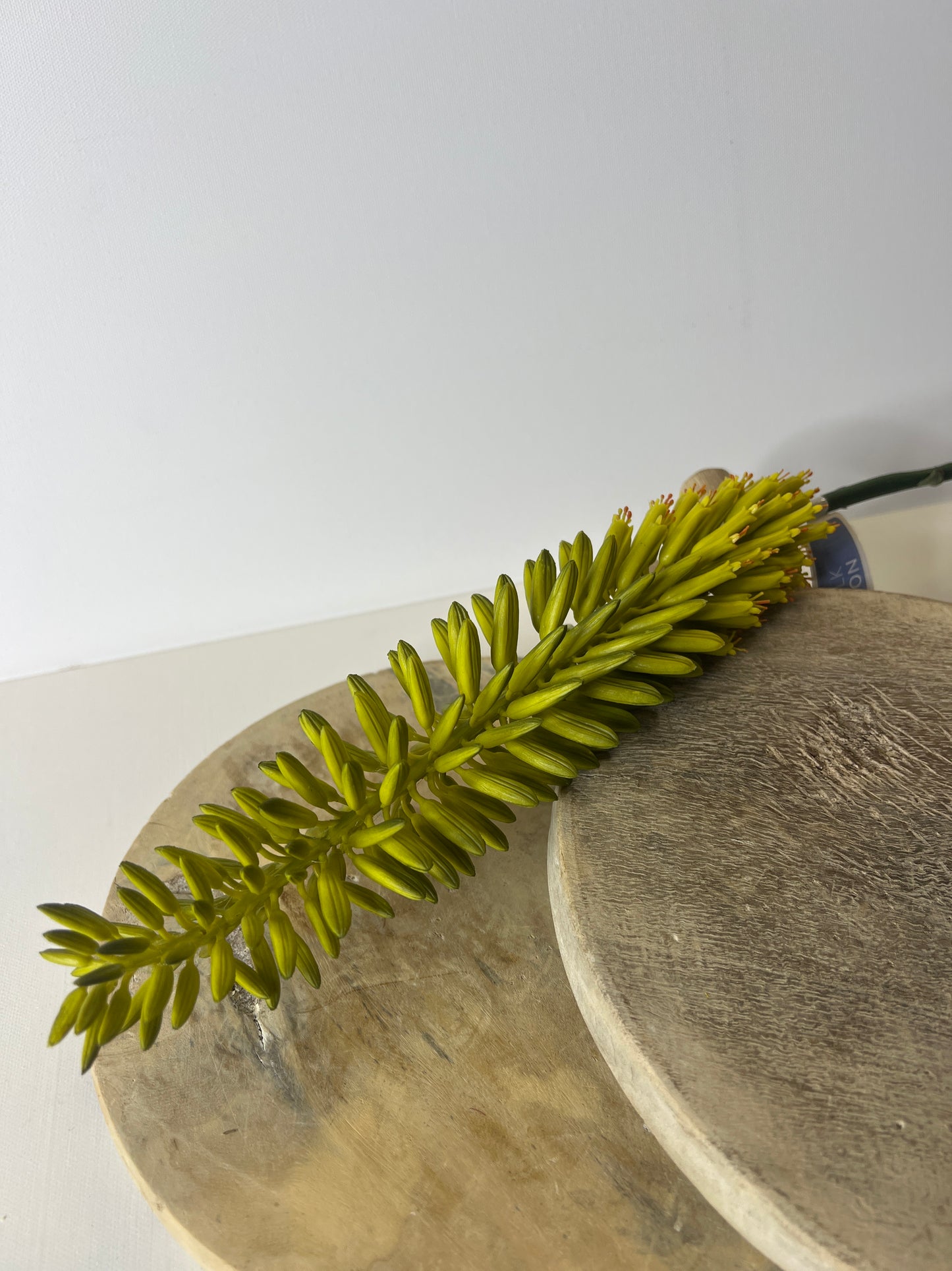 34" Agave Flower Spray