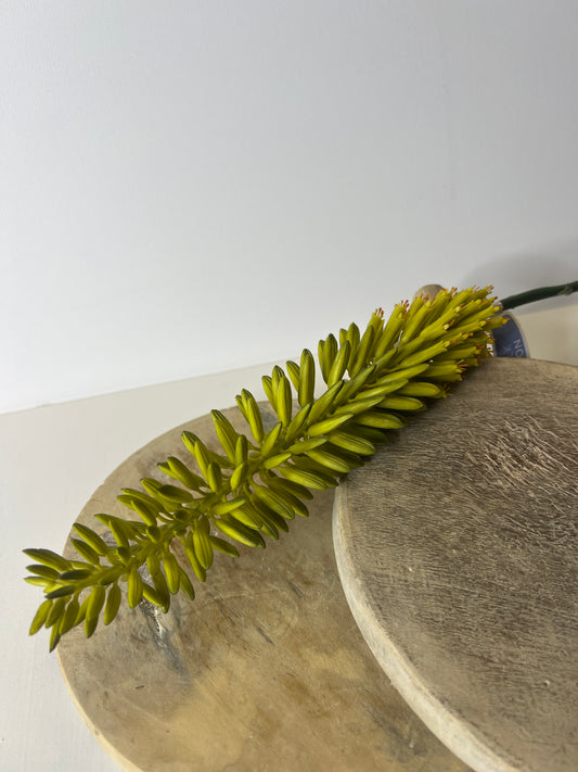 34" Agave Flower Spray