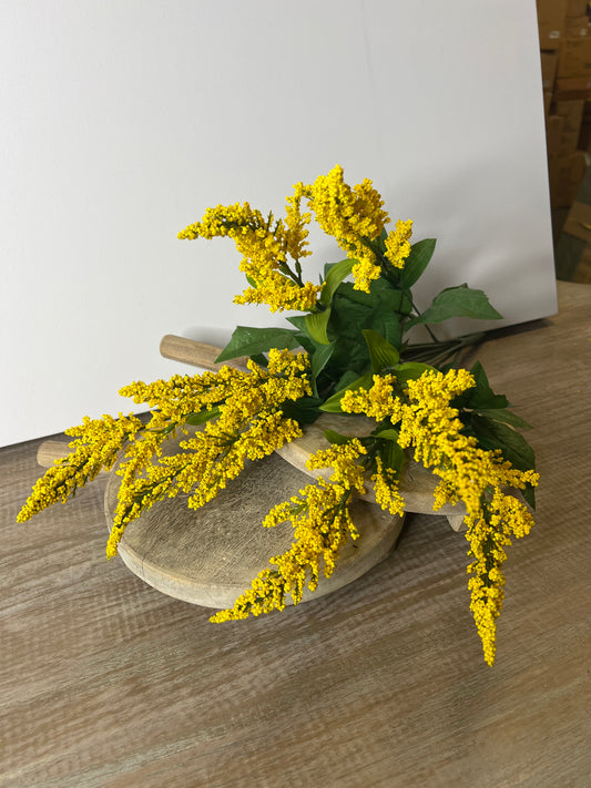 25" Astilbe Bush Yellow