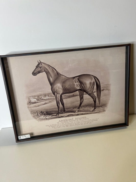 framed Horse  #3