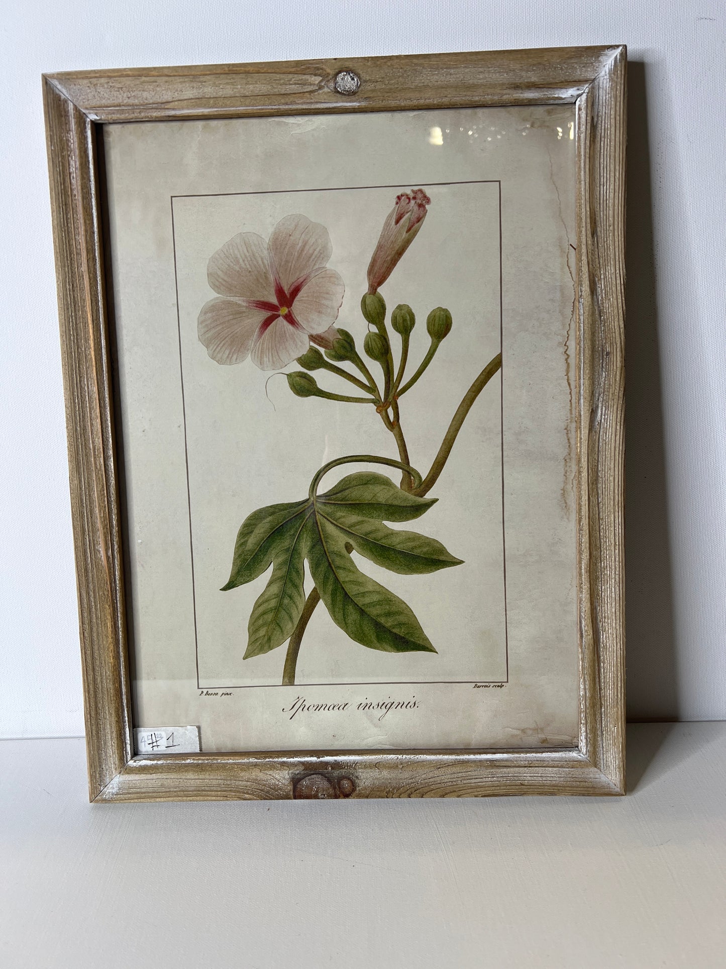 Framed Floral  #1