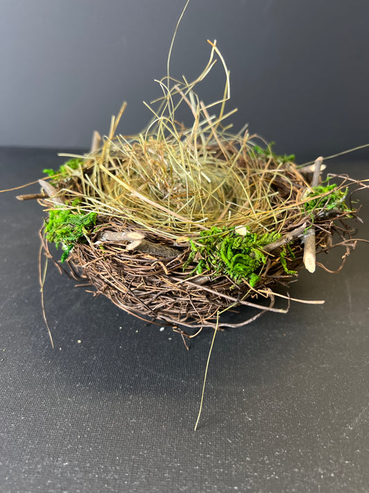 6" Birds Nest with Green Moss