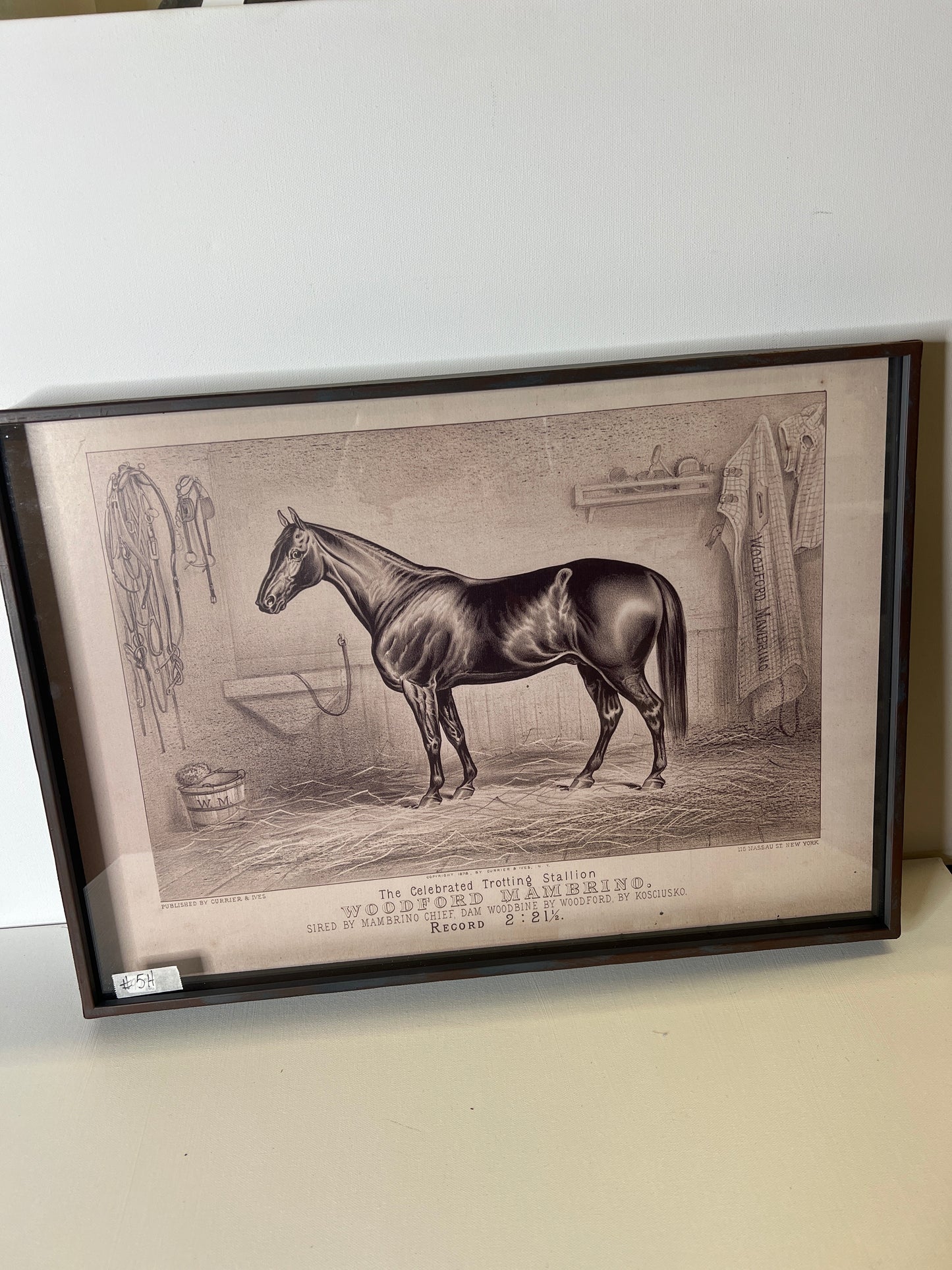 framed Horse  #5