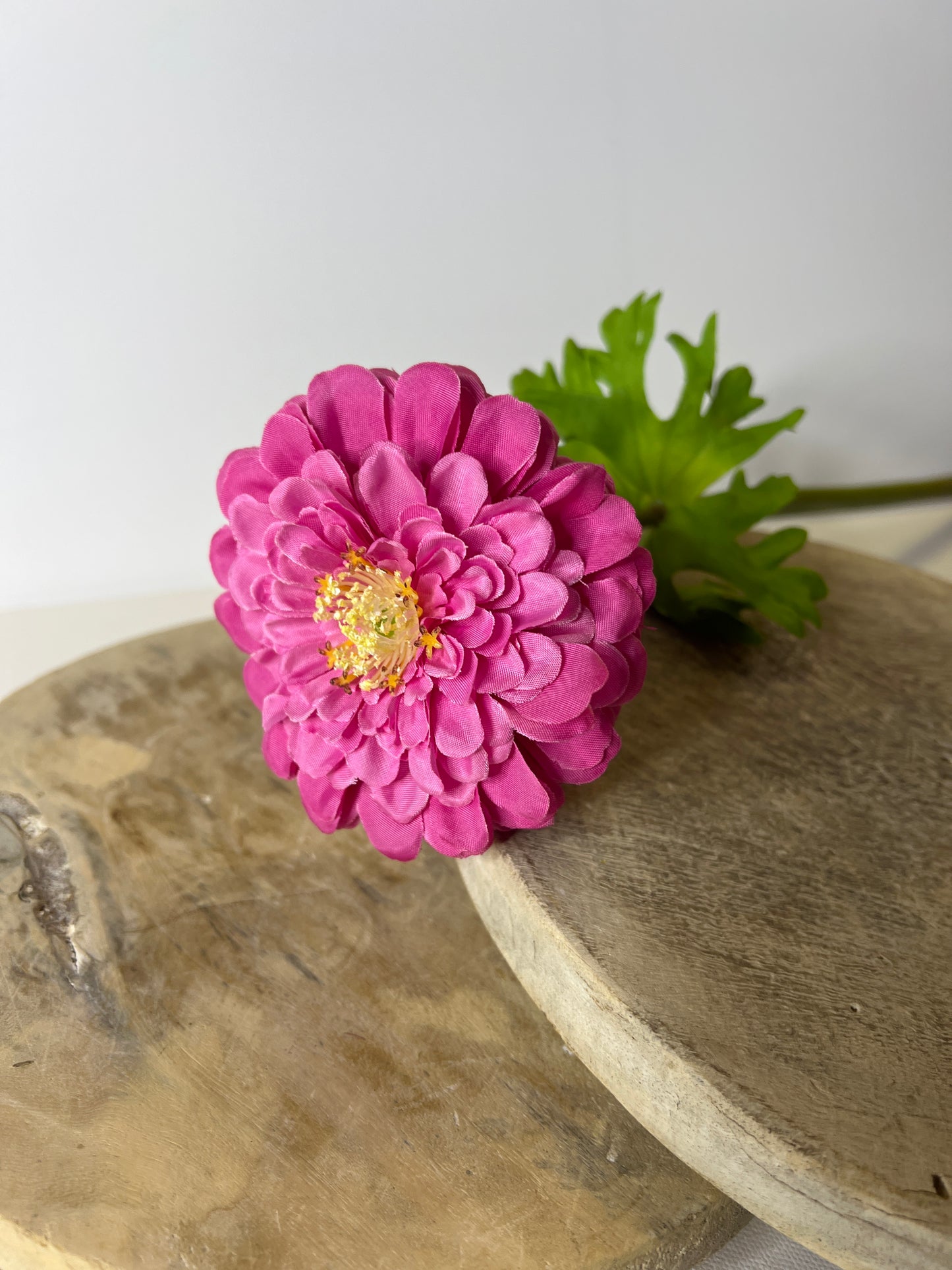 21" Dark Pink Zinnia