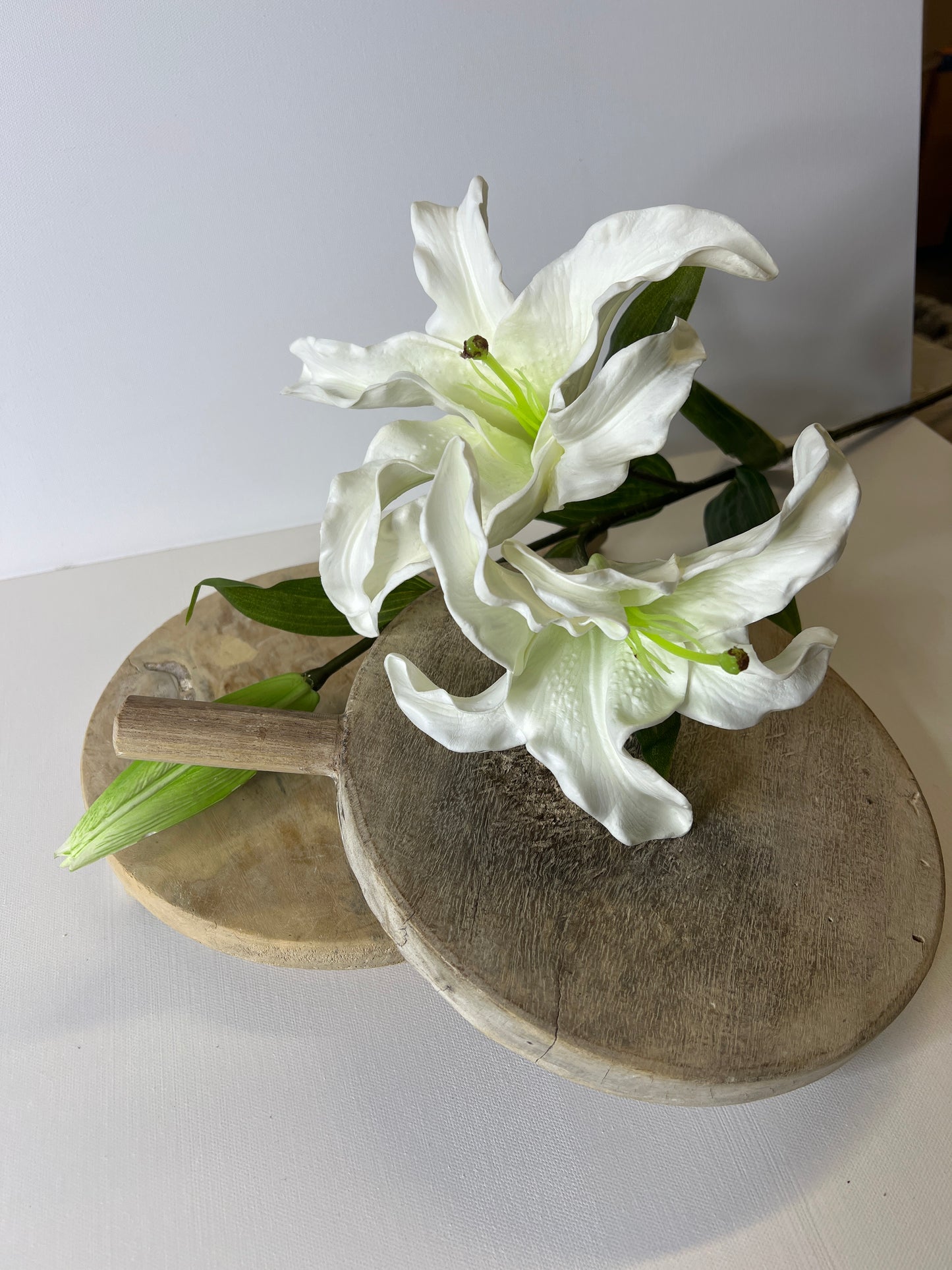 34" White Asiatic Lily