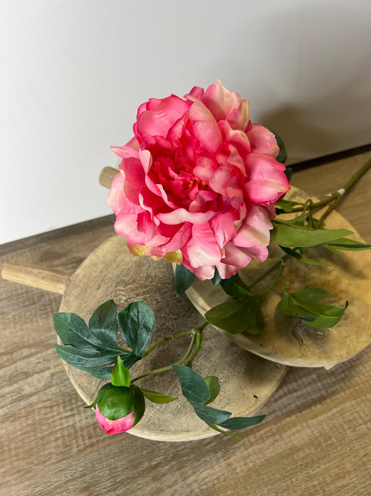 26" Pink Peony