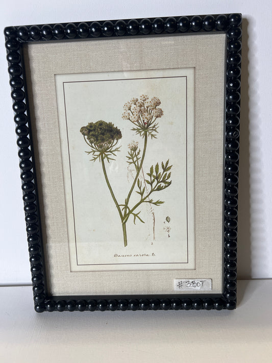 Framed Botanical  #3BOT