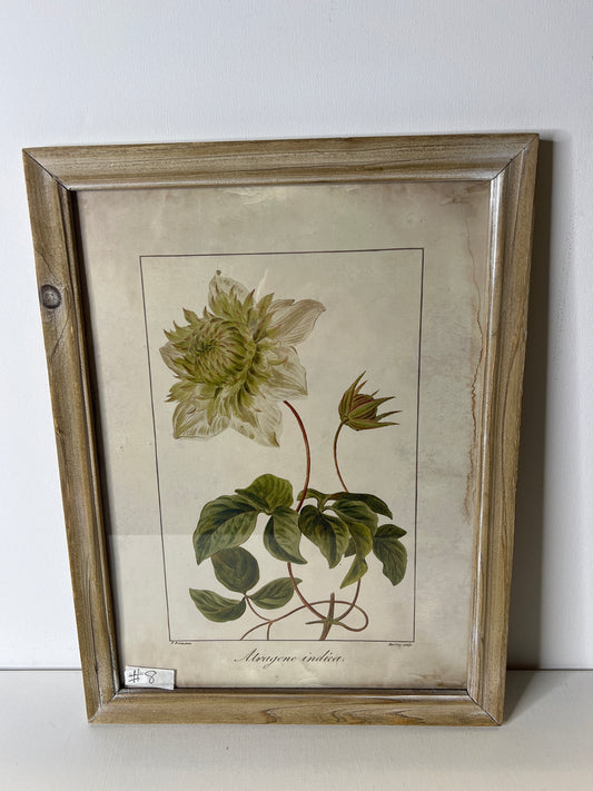 Framed Floral  #8