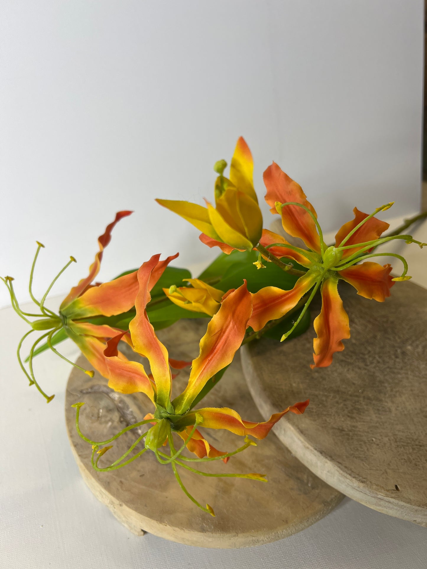 29" Orange Gloriosa Lily
