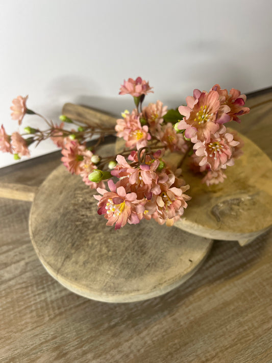 25" Sweet Blossom Peach