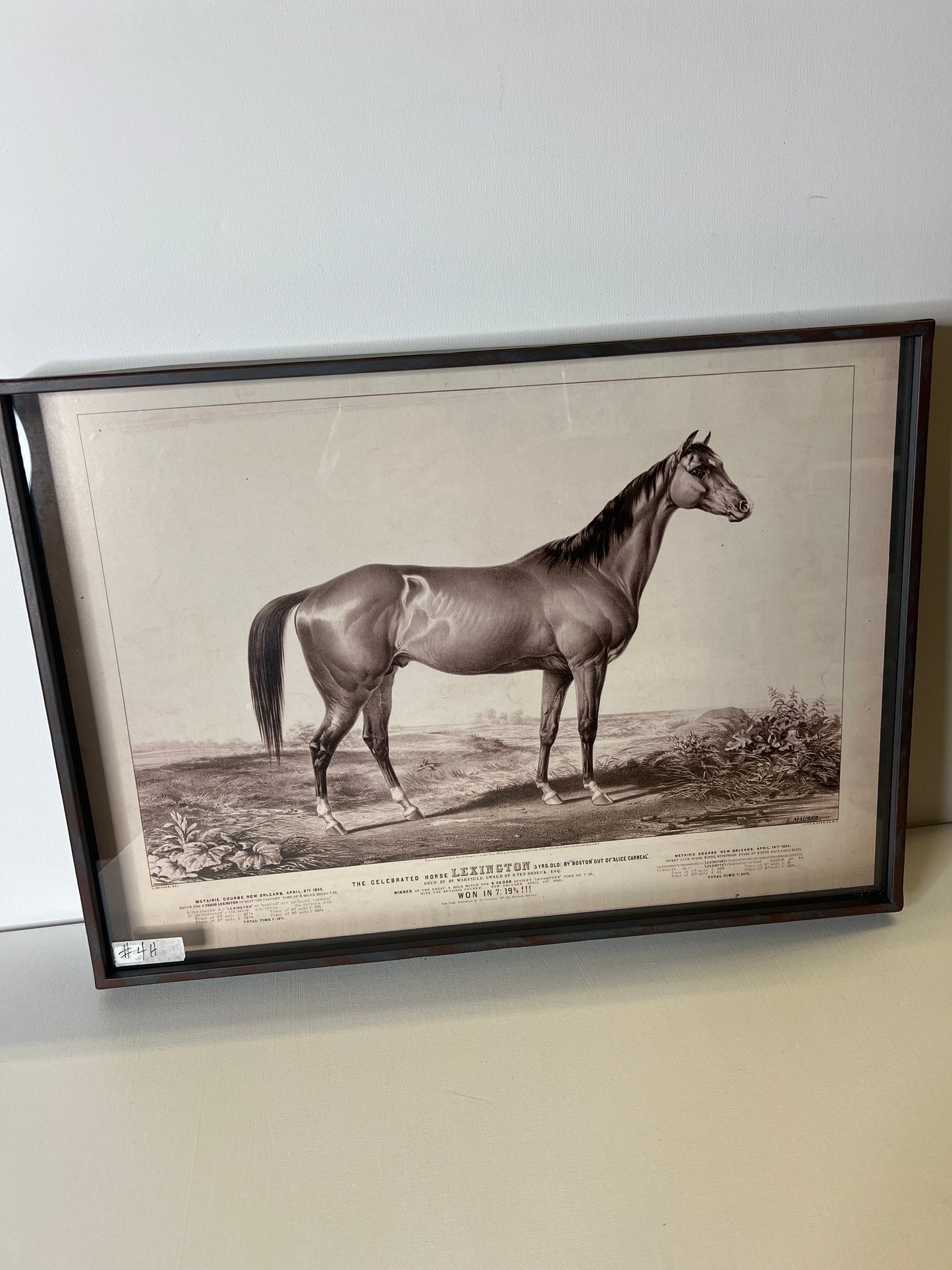 Framed Horse  #4
