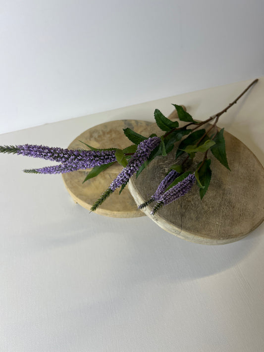 27" Veronica Lavender