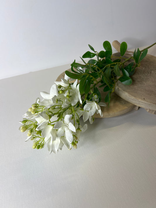 34" White Cassia