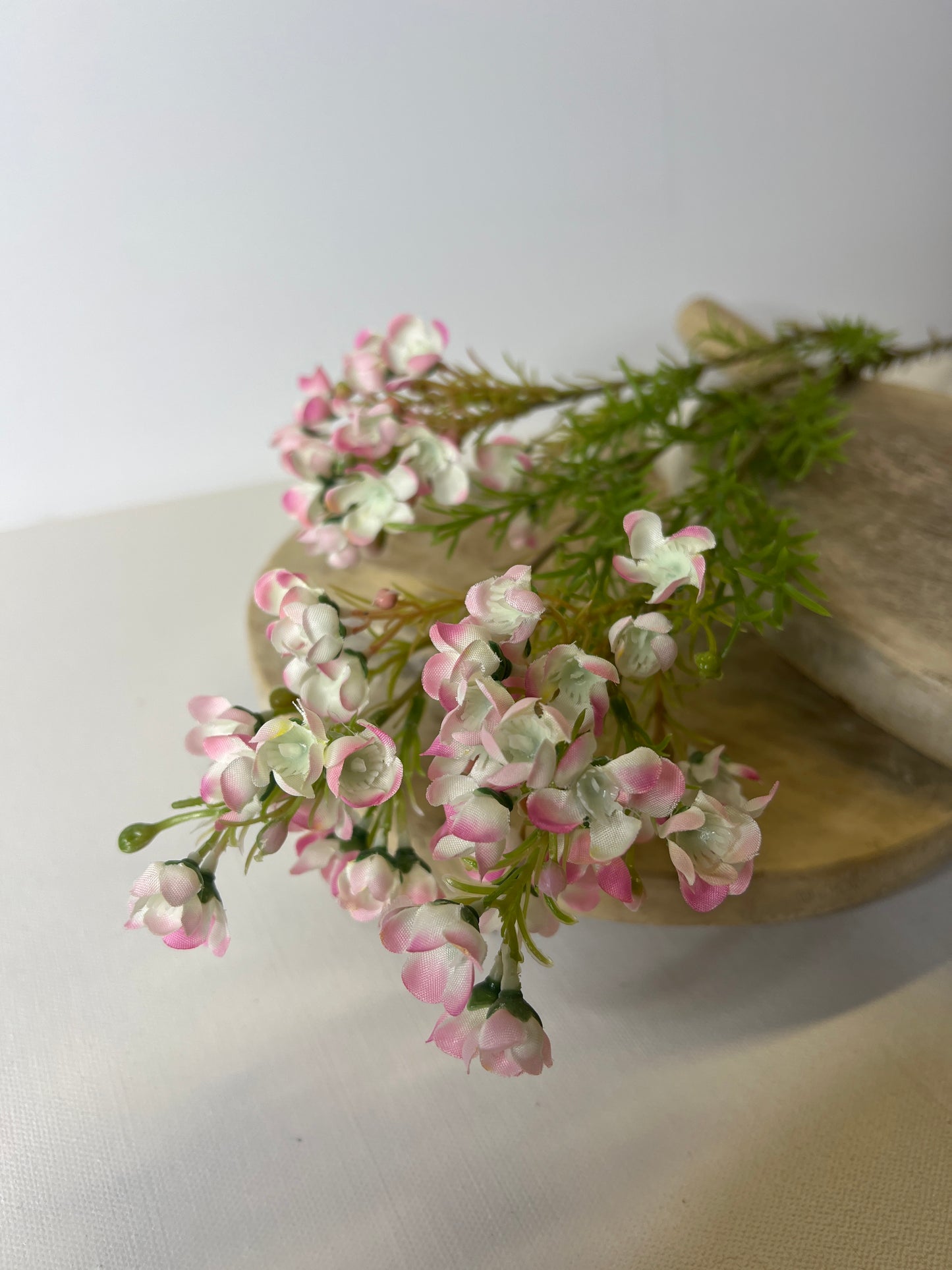 32" Waxflower Pink