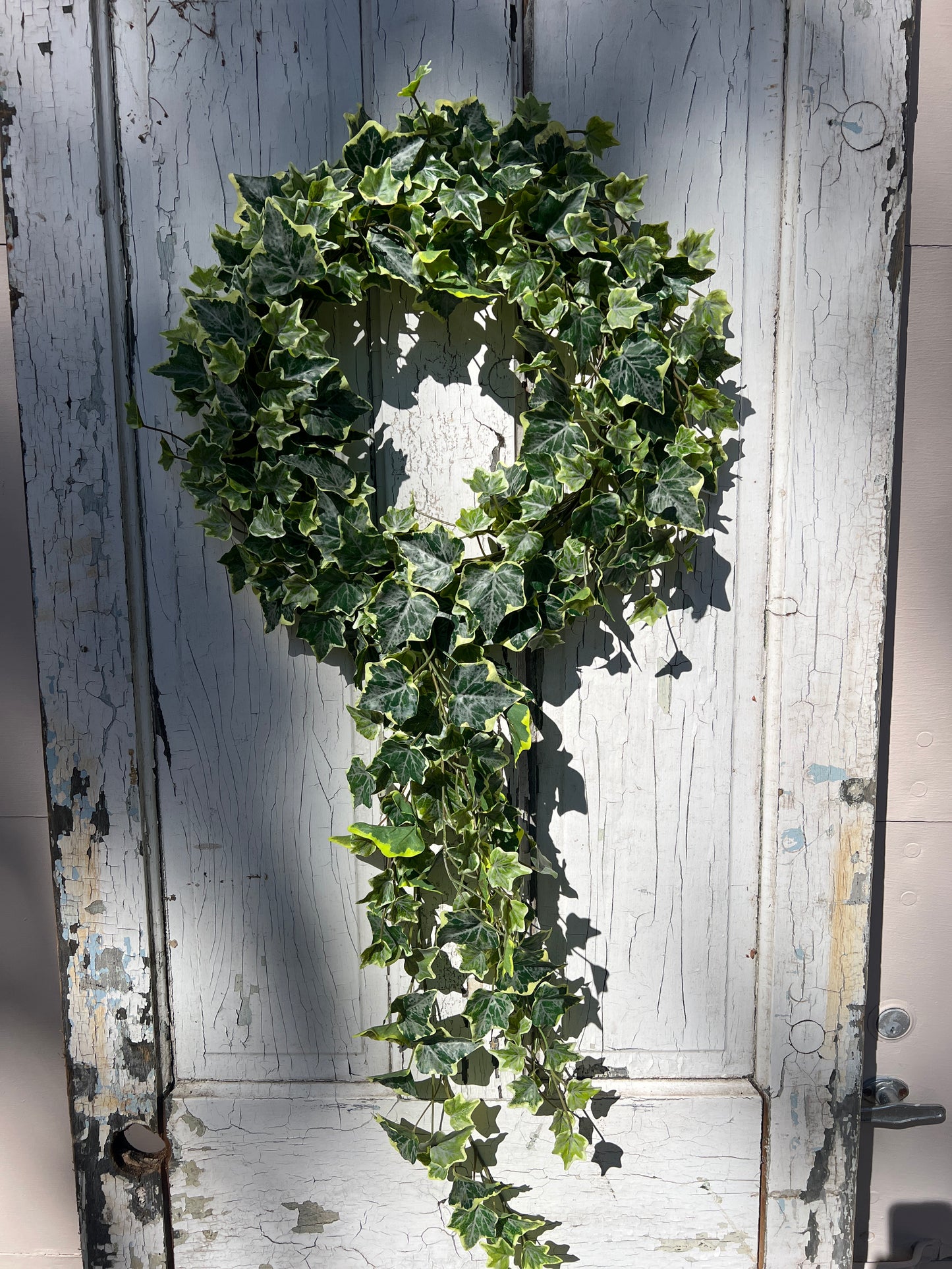 Variegated Ivy Wreath